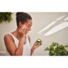 Skin Food Face Crema de Noche 40 ml 【OFERTA】