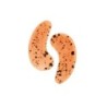 Masqmai Rooibos Eye Patches 6 Pairs