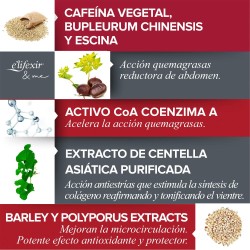 ELIFEXIR Crema Riducente e Rassodante Pancia Piatta 200 ml【ACQUISTA】