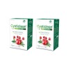 CYSTICLEAN Pro B and D Mannose Duplo 2x30 Sachets