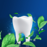 ORAL-B Essential Floss mit Wachs und Minze, 50 m
