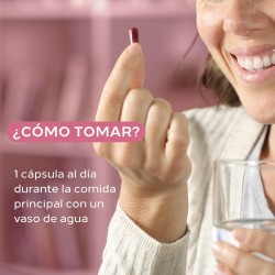 CUMLAUDE LAB Gineseda Acquista Online