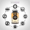 Vittalogy Turmeric Turmeric Premium 2x120 capsules【SAVINGS PACK】