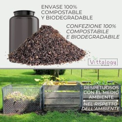 Vittalogy Turmeric Turmeric Premium 2x120 cápsulas【PACOTE DE ECONOMIA】
