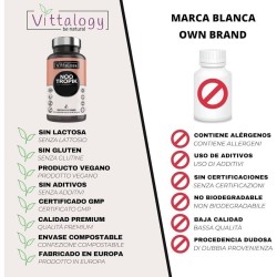 Vittalogy Vitamins Memory and Concentration Nootropik 3x60 Cap【SAVINGS PACK】