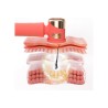 Foreo Peach 2 IPL Depilação Eficiente Rosa 1 unidade