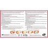 THERMACARE Heat Patches for Lumbar and Hip Area, 2 Units