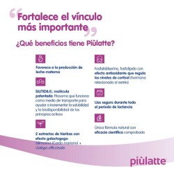 PIULATTE Breast Milk Production Duplo 2x14 Envelopes