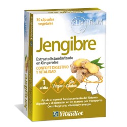 Zentrum Ginger 30 Capsules