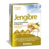 Zentrum Jengibre 30 Cápsulas