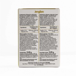Zentrum Ginger 30 Capsules