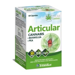 Zentrum Articular Cannabis 60 Capsules