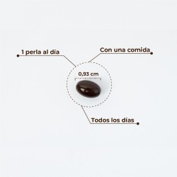Kobho Labs Astaxanthin + CoQ10 60 Kapseln