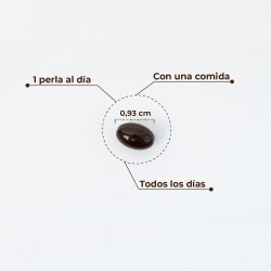 Kobho Labs Astaxanthin + CoQ10 60 Kapseln