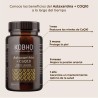 Kobho Labs Astaxanthin + CoQ10 60 Kapseln