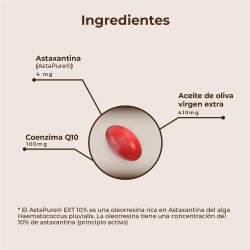Kobho Labs Astaxanthin + CoQ10 60 Kapseln