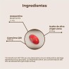 Kobho Labs Astaxanthin + CoQ10 60 Kapseln