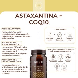 Kobho Labs Astaxanthin + CoQ10 60 Kapseln