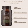 Kobho Labs Pre-Post Probiotika 60 Kapseln