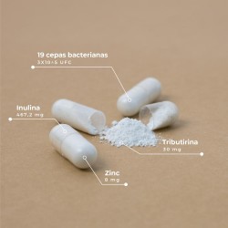 Kobho Labs Pre-Post Probiotika 60 Kapseln