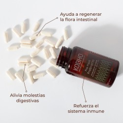 Kobho Labs Pre-Post Probiotika 60 Kapseln