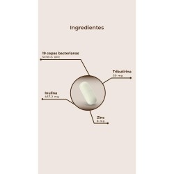 Kobho Labs Pre-Post Probiotikum 60 Kapseln  [VERSAND 24 Stunden]