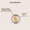 Kobho Labs Omega 3 60 Kapseln