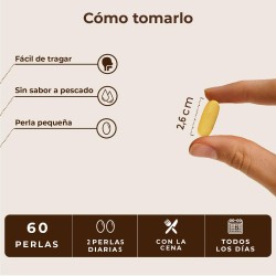 Kobho Labs Omega 3 60 Kapseln