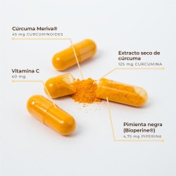 Kobho Labs Turmeric + Black Pepper 60 Capsules