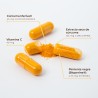 Kobho Labs Turmeric + Black Pepper 60 Capsules
