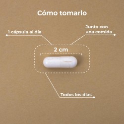 Kobho Labs Liposomales Vit. C 60 Kapseln