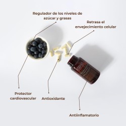 Kobho Labs Trans Resveratrol + Quercetin 60 Kapseln