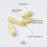 Kobho Labs Trans Resveratrol + Quercetin 60 Kapseln