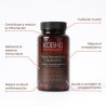 Kobho Labs Trans Resveratrol + Quercetin 60 Kapseln
