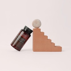 Kobho Labs Trans Resveratrol + Quercetin 60 Kapseln