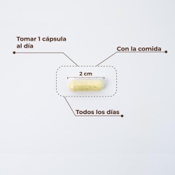 Kobho Labs Trans Resveratrolo + Quercetina 60 Capsule  [OFFERTA]