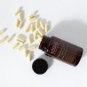 Kobho Labs Trans Resveratrol + Quercetin 60 Kapseln