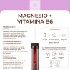 Kobho Labs Magnesium + Vitamin B6 20 Vials