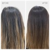 Moncho Moreno Hair Parachute 12 Ampolle 【ACQUISTA ONLINE】