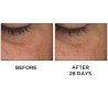 Perricone Cold Plasma Plus+ Eye 15 ml