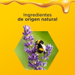 Zarbees Immunity Erwachsene Nacht 120ml