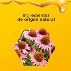 Zarbees Immunität für Erwachsene, 120 ml