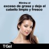 Neutrogena T/Gel Anti-Dandruff Shampoo Normal-Oily Lot 2 X 250 ml