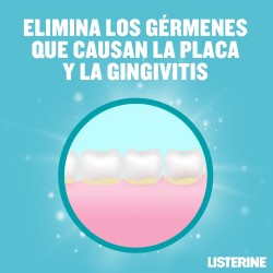 LISTERINE Menthol Saveur Douce 500 ml + 250 ml GRATUITS