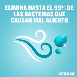 LISTERINE Menthol Mild Flavor 500 ml + 250 ml FREE