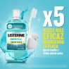 LISTERINE Menthol Saveur Douce 500 ml + 250 ml GRATUITS