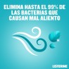 LISTERINE Menthol 500 ml + 250 ml GRATUITS