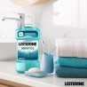 LISTERINE Menthol 500 ml + 250 ml GRATUITS