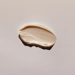 Byoode Mushroom & Karite Story 50 ml 【ENVIO 24 horas】