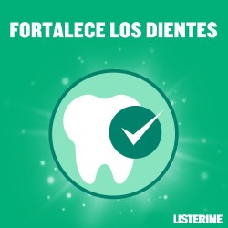LISTERINE Bain de bouche Dents et Gencives Saveur Menthe 500 ml + 250 ml GRATUITS